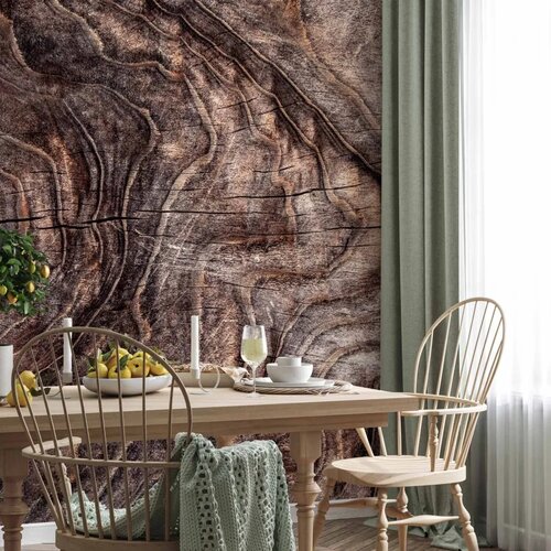 Foto tapeta - Signs of the times - an abstract background with the wrinkled bark of an old tree 150x105 Premium Slike