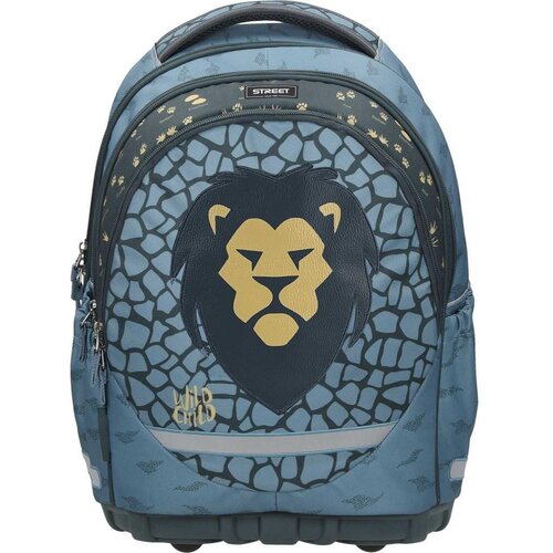  Ergonomski Ruksak Lion Slike