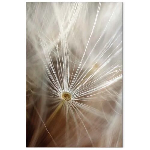  Slika - Beginning of Memories (1 Part) Vertical 40x60 Slike