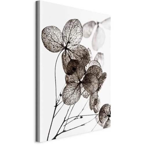  Slika - Transparent Clover (1 Part) Vertical 60x90 Standard Cijene