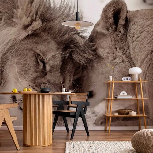  Foto tapeta - Lion Tenderness (Sepia) 500x350 Vodootporna Cene