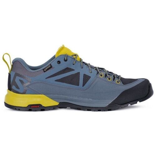 Salomon Nizke superge X Alp Spry Gtx pisana Cene