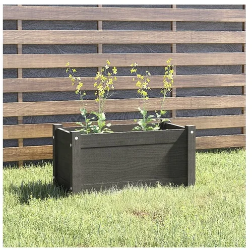Den Vrtno cvetlično korito sivo 60x31x31 cm trdna borovina