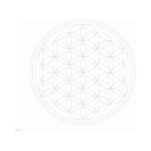 Carry Bottle Boca "Flower of Life" 1 l Cijene