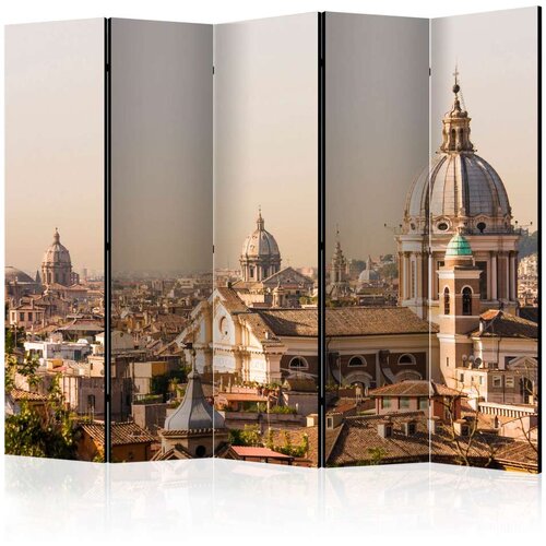  Paravan u 5 dijelova - Rome - bird&amp;#039;s eye view II [Room Dividers] 225x172 Slike