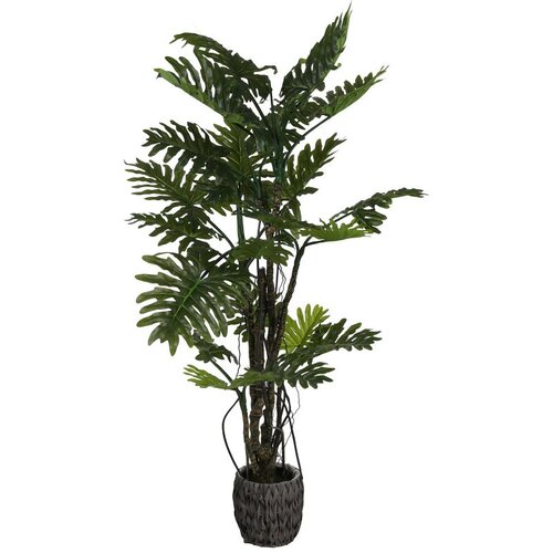  Philodendron Brasil umjetni 210 cm Cijene