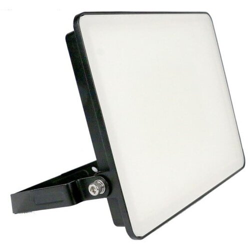 Xled 50W led reflektor sa microve senzorom 6500K G17 fast connectorIP44 AC220-240V Cene