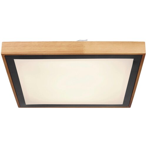  Globo 41764-24Q - LED plafonsko svetlo BRUNO LED/24W/230V 3000/4500/6000K Cene