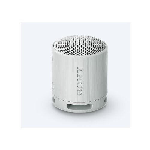  SRSXB100H.CE7 BLUETOOTH ZVUCNIK SONY GREY Cijene