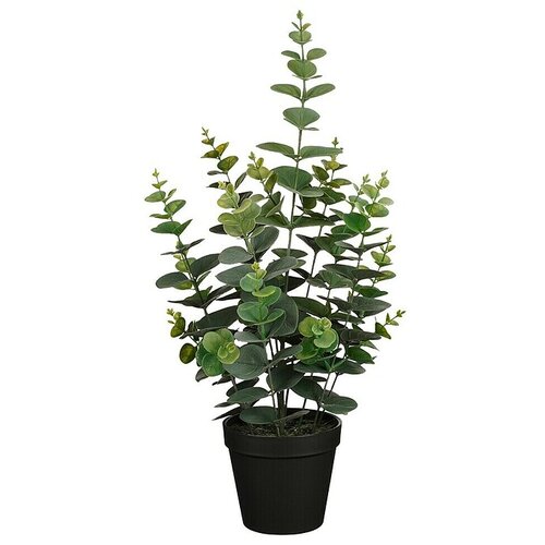  Umetna rastlina Evkaliptus (Vi&scaron;ina: 53 cm, Zelena, Plastika) Cene
