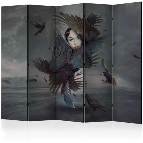  Paravan u 5 dijelova - Covered in feathers II [Room Dividers] 225x172 Slike