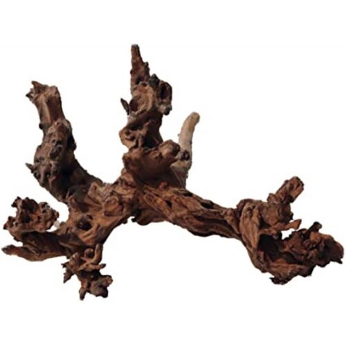  Drvo mystic wood md Cene