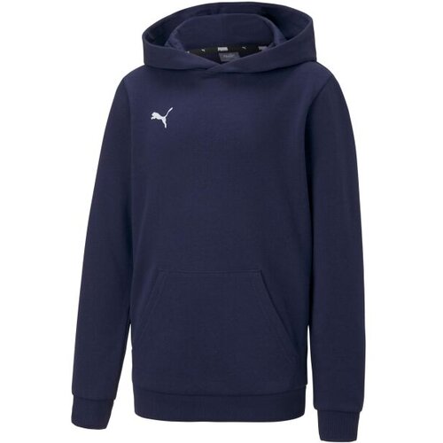 Puma Puloverji Teamgoal 23 Causals Hoody pisana Slike