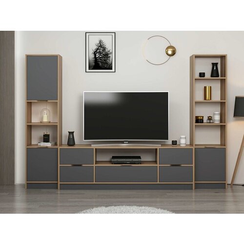 Hanah home TV komoda Elina 8606 Cene