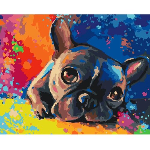  Slika za samostalno slikanje - Colourful French bulldog 50x40 Slike