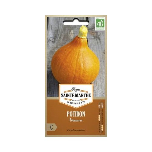  Buča "Potimarron" Cene