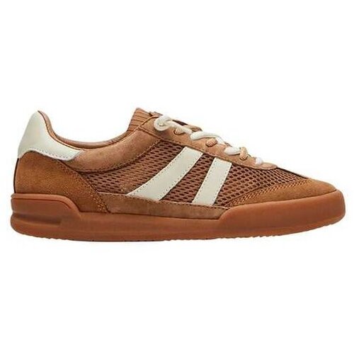 Steve Madden braon ženske patike Cene
