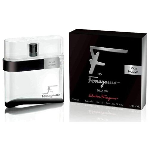 Salvatore Ferragamo F by Ferragamo Black toaletna voda 100 ml za mu&amp;scaron;karce Slike