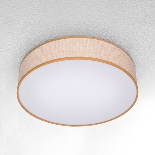  Brilagi - LED prigu&amp;scaron;iva plafonska svetiljka CARMEN LED/48W/230V 3000-6500K + daljinski upravljač Slike