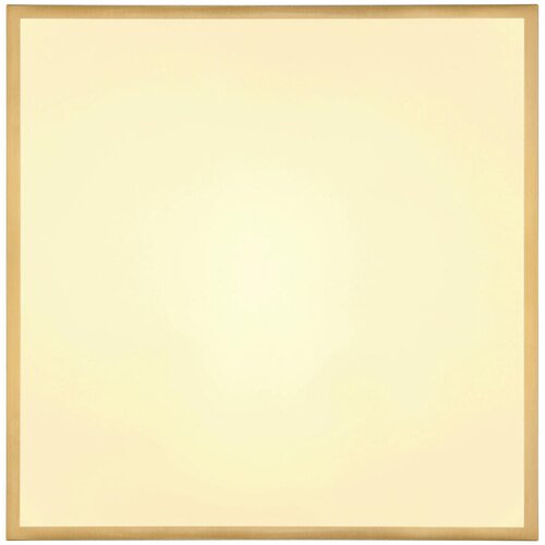 Lesnina XXXL Globo 12382-30 - LED plafonsko svetlo TIBEY LED/30W/230V 45x45 cm Slike