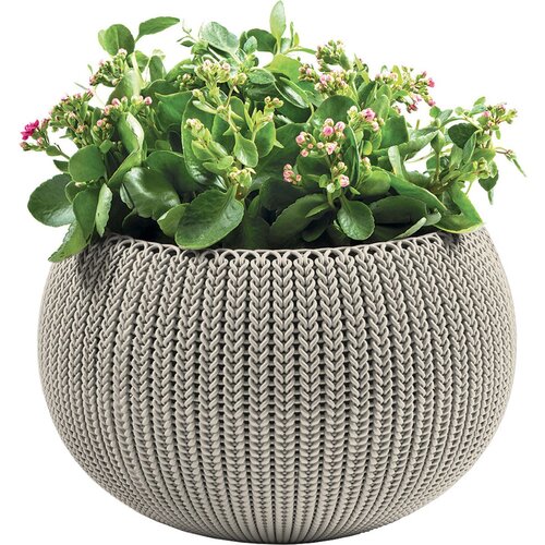 Keter Plastična viseća i zidna posuda za cvijeće &amp;oslash; 36 cm Cozy &amp;ndash; Slike