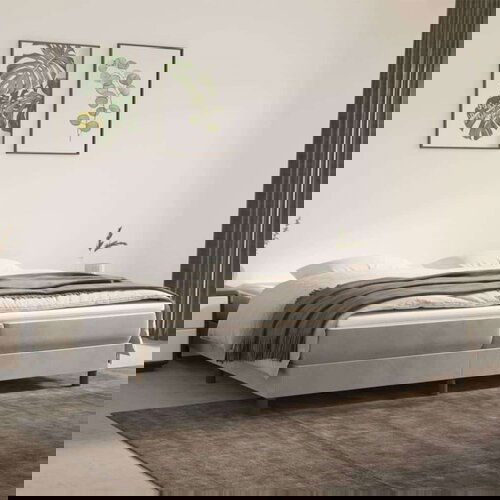  Box spring postelja z vzmetnico svetlo siva 200x200 cm žamet, (20726319) Slike