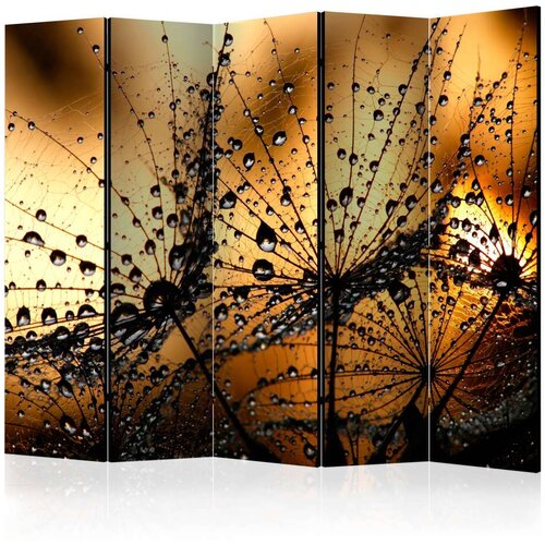  Paravan u 5 dijelova - Dandelions in the Rain II [Room Dividers] 225x172 Cijene