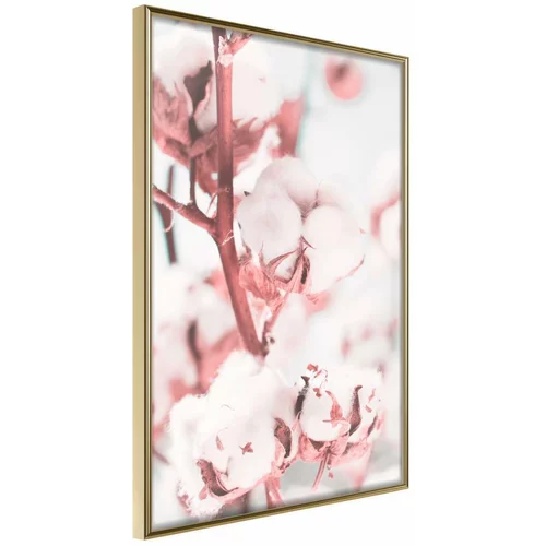  Poster - Cotton Flowers 30x45