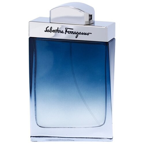 Salvatore Ferragamo subtil pour homme toaletna voda 100 ml za moške Cene