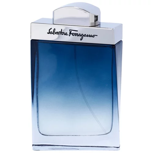 Salvatore Ferragamo subtil pour homme toaletna voda 100 ml za moške