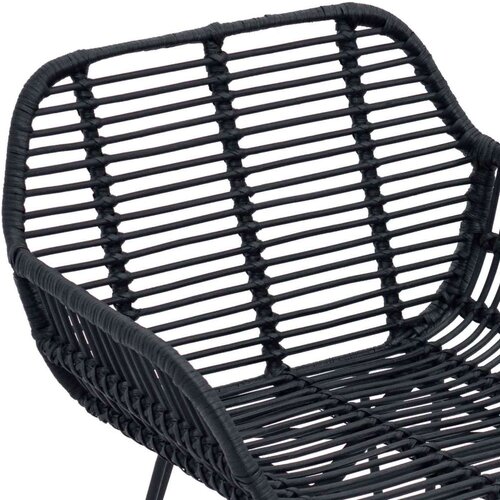  Stolac za blagovanje 2 pcs Crna 55 x 50 x 74 cm Ratan i čelik Slike