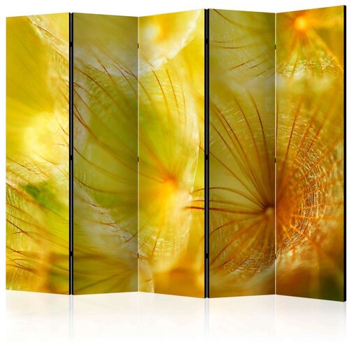  Paravan u 5 dijelova - Soft dandelion flower II [Room Dividers] 225x172 Slike