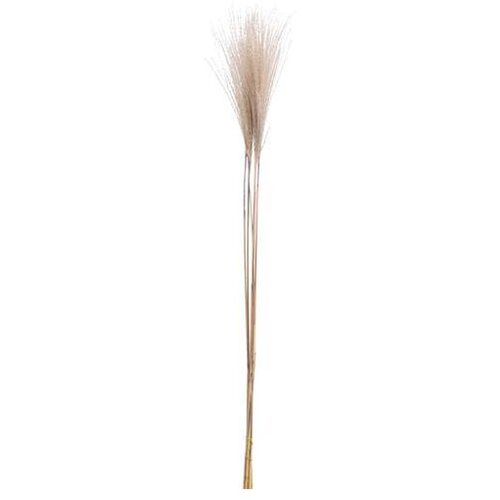  PAMPAS 90CM Cijene