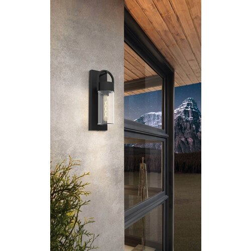 Eglo Vanjska zidna svjetiljka Carraro (380 x 130 x 115 mm, Crna, Prozirno, IP44) Slike