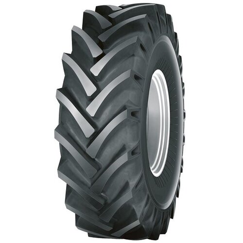 Ruma Agro guma 12.4-24 AS-AGRI 06 TT 8PR Slike