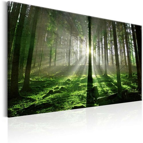  Slika - Emerald Forest II 90x60 Slike