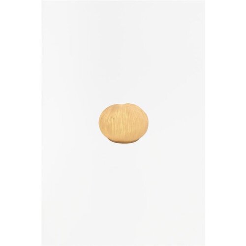 Maredecor Lampa u obliku koralja 13x9cm Slike
