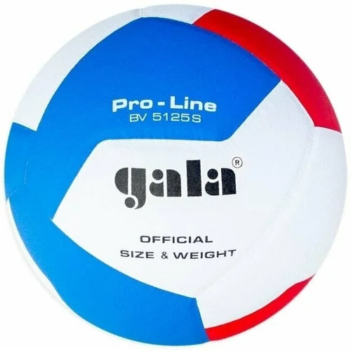 Gala Pro Line 12 Odbojka v zaprtih prostorih