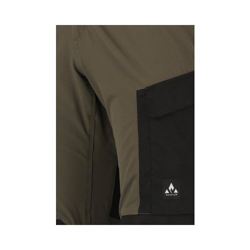 Whistler Men's outdoor pants ROMNING Cene