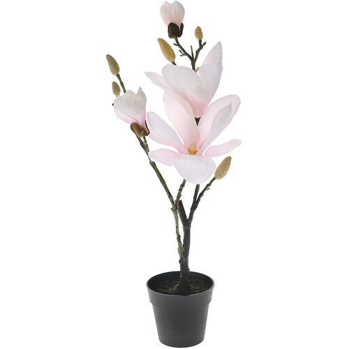 Diker HOME Ve&scaron;tačka magnolija u saksiji 50 cm roze Cene