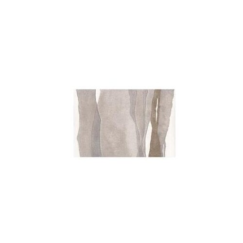  Tepih Vegas Home 54EBE 200x290 cm Cijene