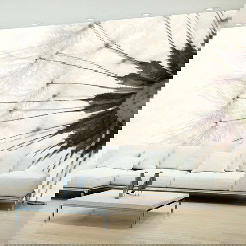  Tapeta - White Dandelion 250x175 Cijene