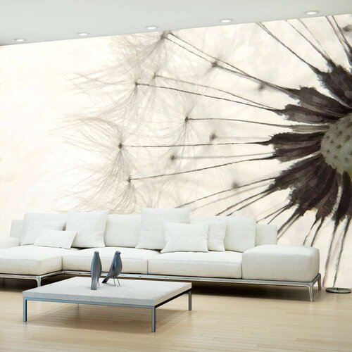  Tapeta - White Dandelion 250x175 Slike