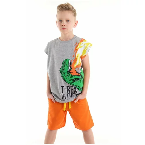 Mushi T-Rex Flame Boys Child Gray T-Shirt Orange Shorts Set