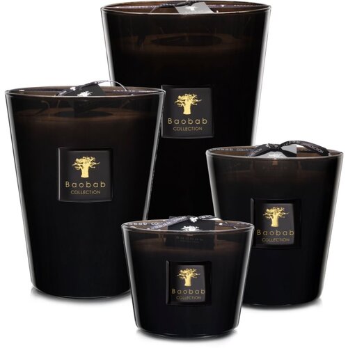 Baobab Les Prestigieuses Encre de Chine mirisna svijeća 24 cm Slike