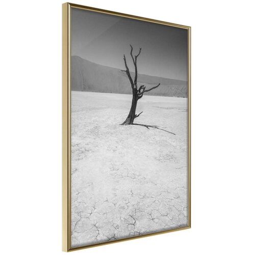  Poster - Survivor 30x45 Cijene