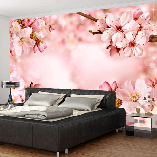  Samoljepljiva foto tapeta - Magical Cherry Blossom 294x210 Slike