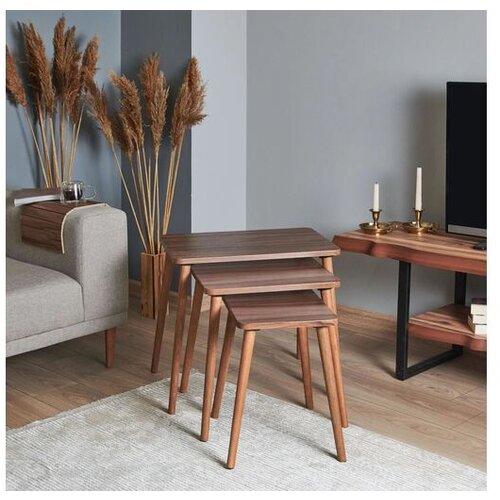 Hanah home set stolova različitih dimenzija (3 komada) Tuval 060 Cene