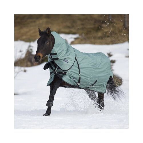 Busse Zunanje pregrinjalo FLEXIBLE PRO 250, silver pine (black) - 155 cm Cene