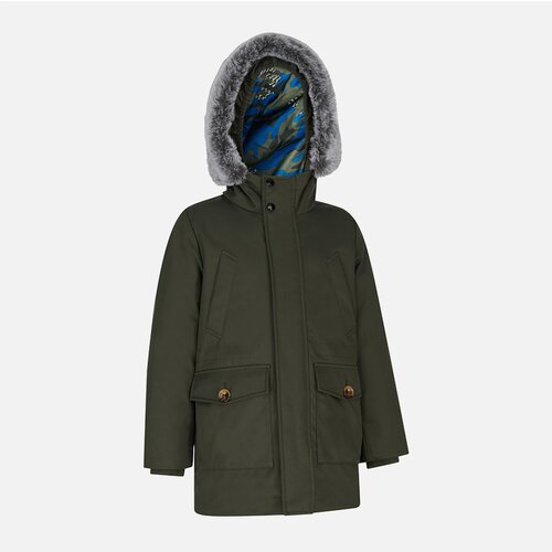 Geox Khaki boys' jacket Norwolk - Boys Cene